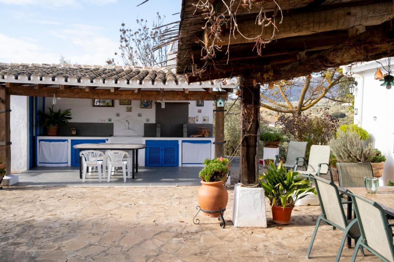 Refugio Andaluz Con Piscina Entre Olivos Villanueva de Tapia Екстериор снимка