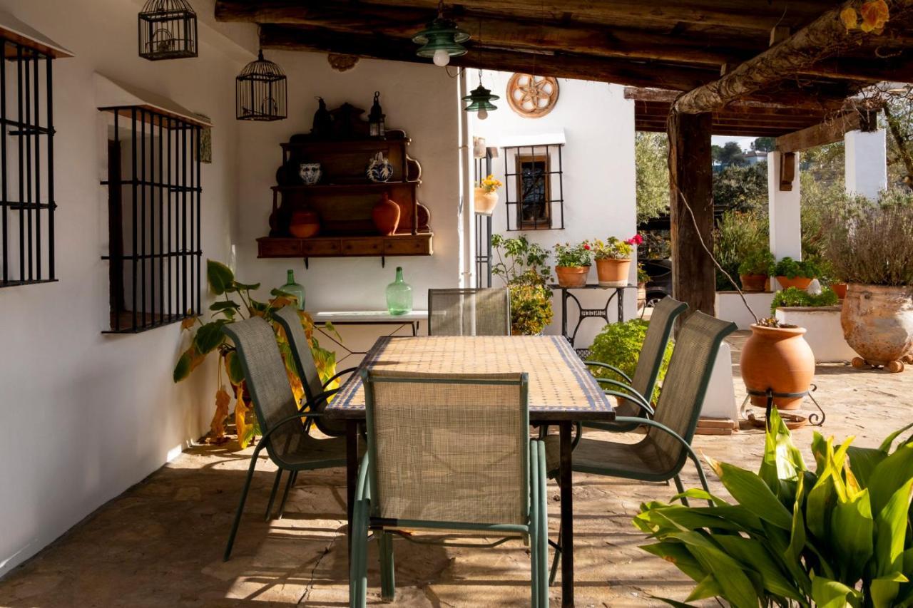Refugio Andaluz Con Piscina Entre Olivos Villanueva de Tapia Екстериор снимка