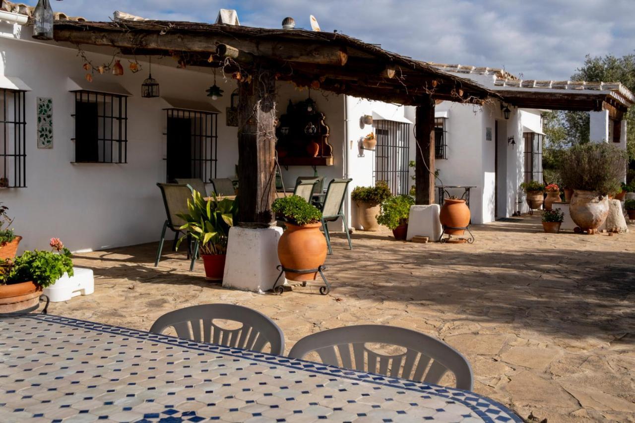 Refugio Andaluz Con Piscina Entre Olivos Villanueva de Tapia Екстериор снимка