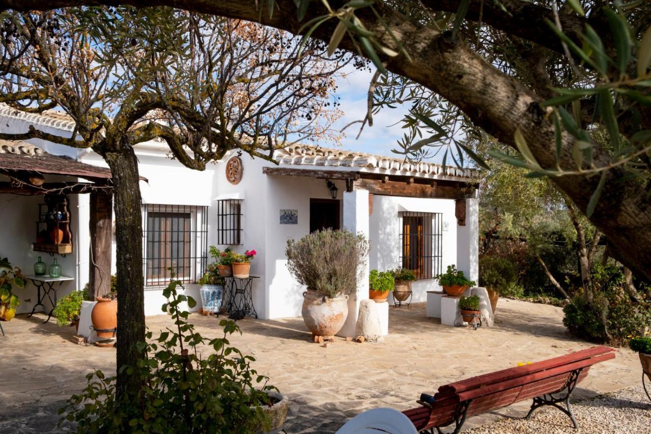 Refugio Andaluz Con Piscina Entre Olivos Villanueva de Tapia Екстериор снимка