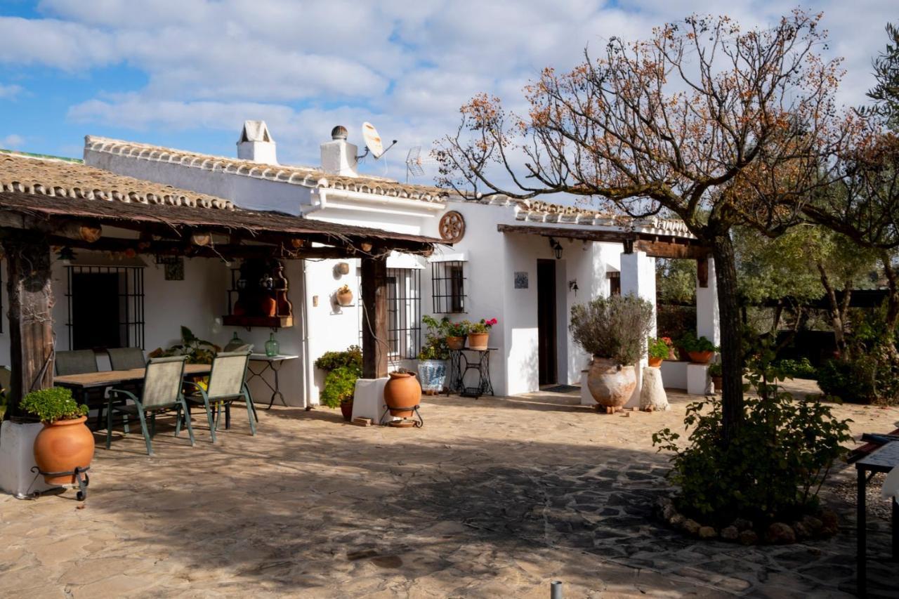 Refugio Andaluz Con Piscina Entre Olivos Villanueva de Tapia Екстериор снимка