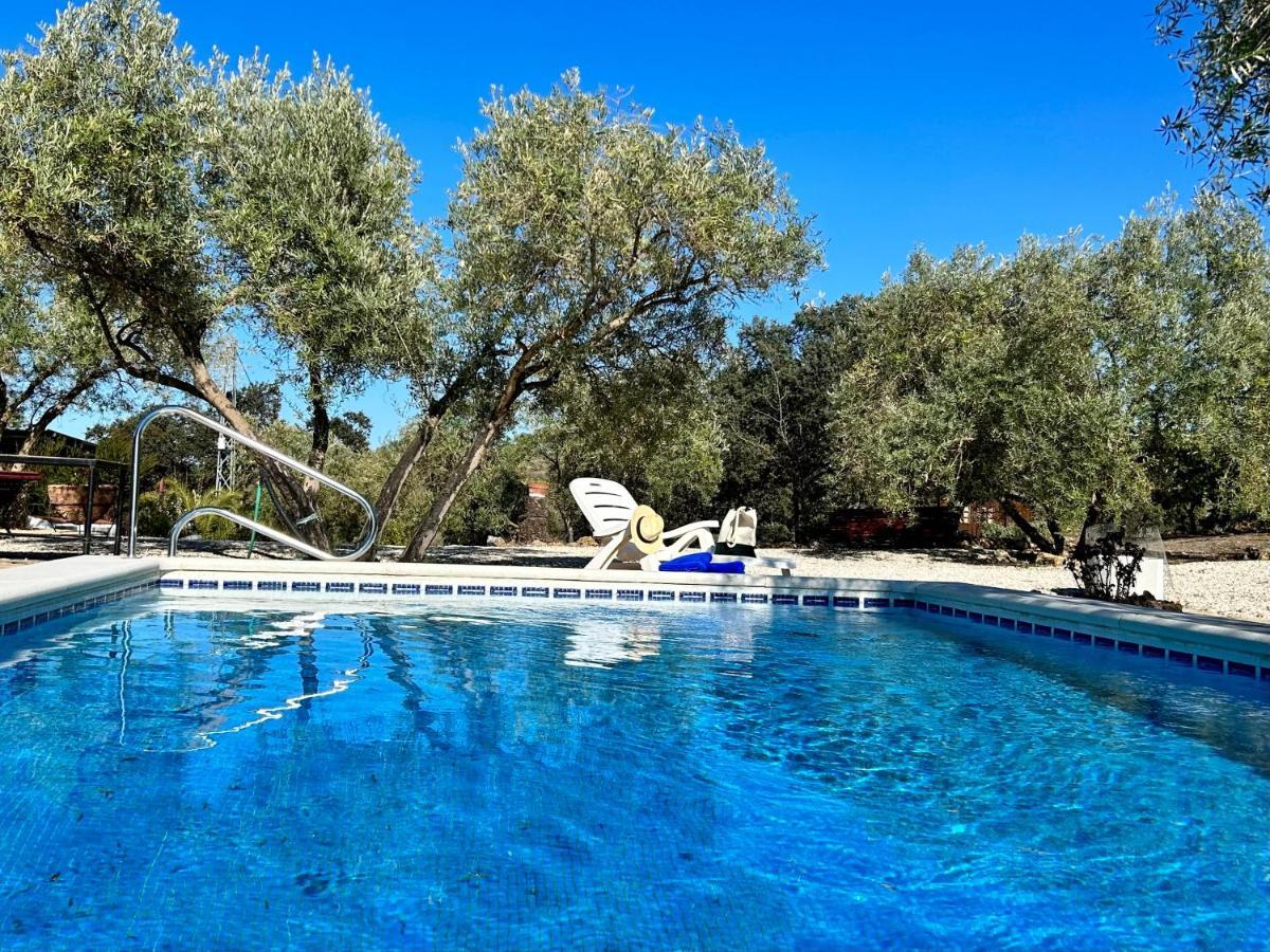 Refugio Andaluz Con Piscina Entre Olivos Villanueva de Tapia Екстериор снимка