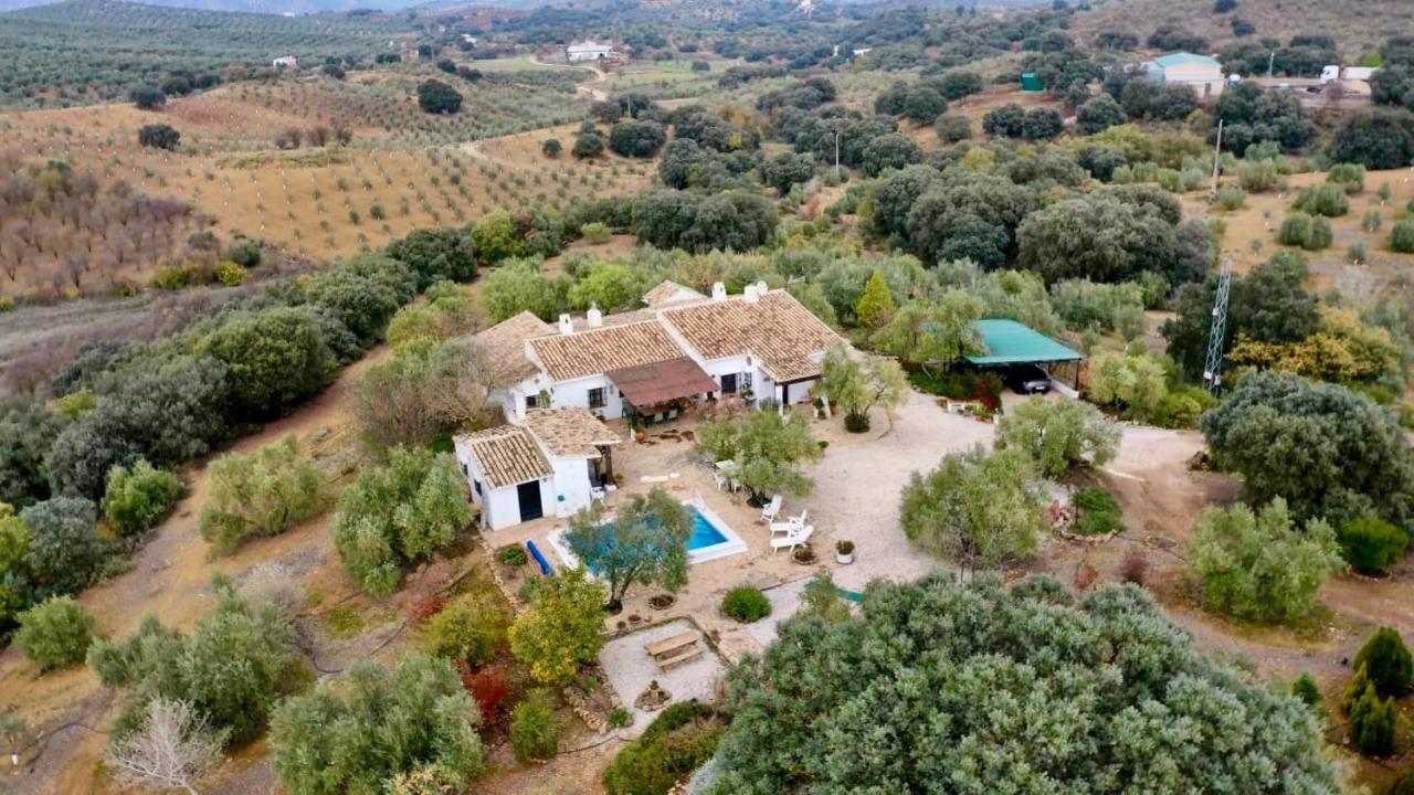 Refugio Andaluz Con Piscina Entre Olivos Villanueva de Tapia Екстериор снимка
