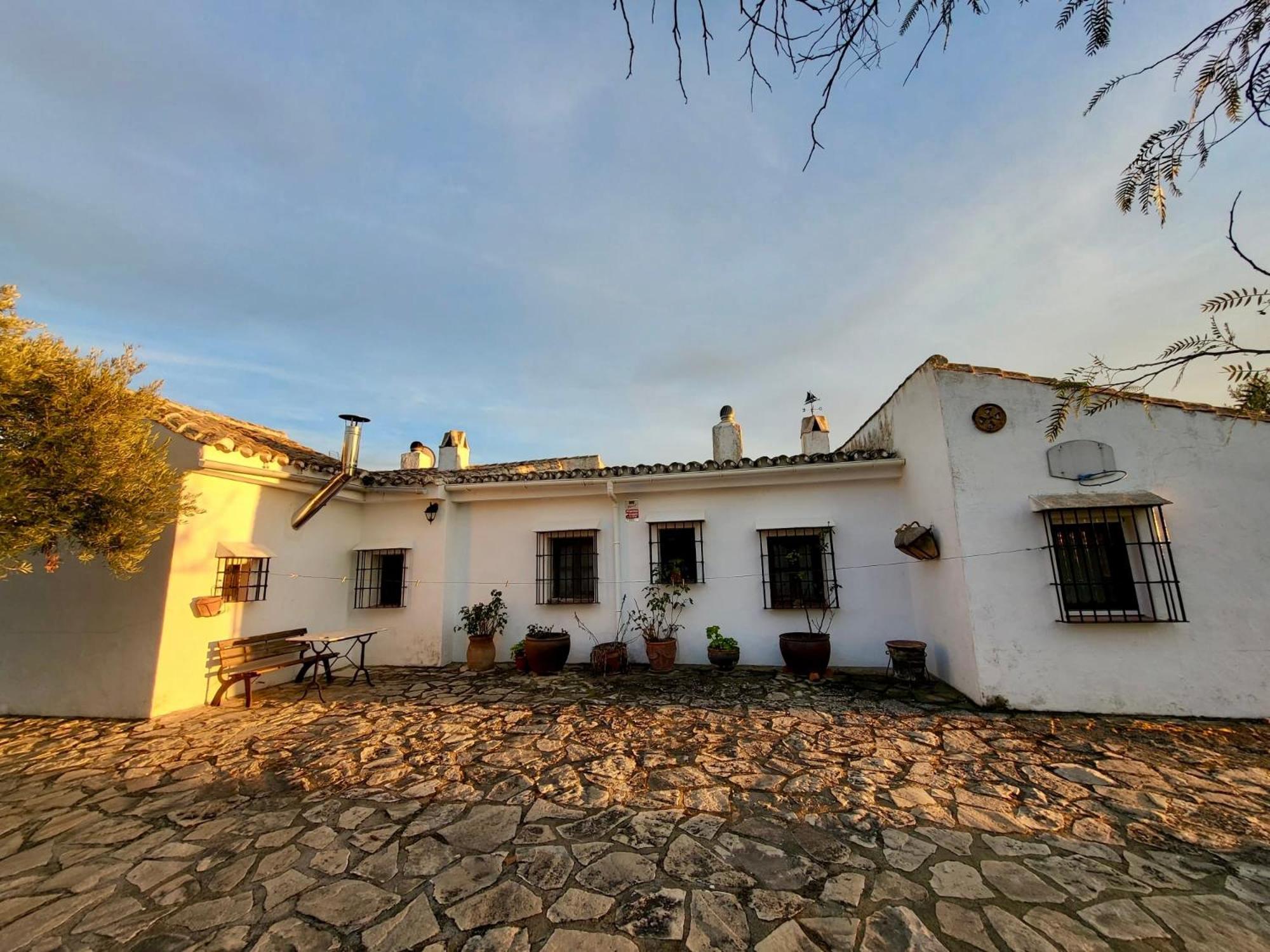 Refugio Andaluz Con Piscina Entre Olivos Villanueva de Tapia Екстериор снимка