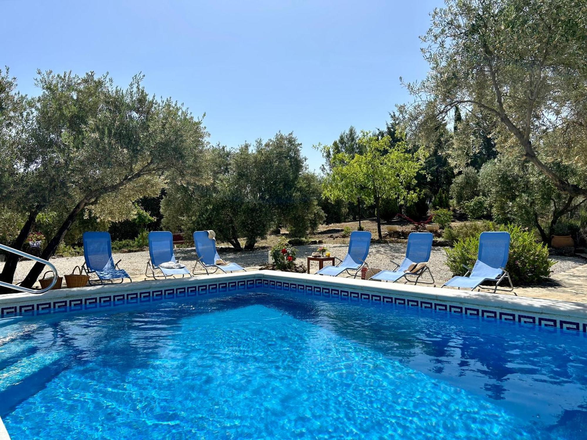 Refugio Andaluz Con Piscina Entre Olivos Villanueva de Tapia Екстериор снимка